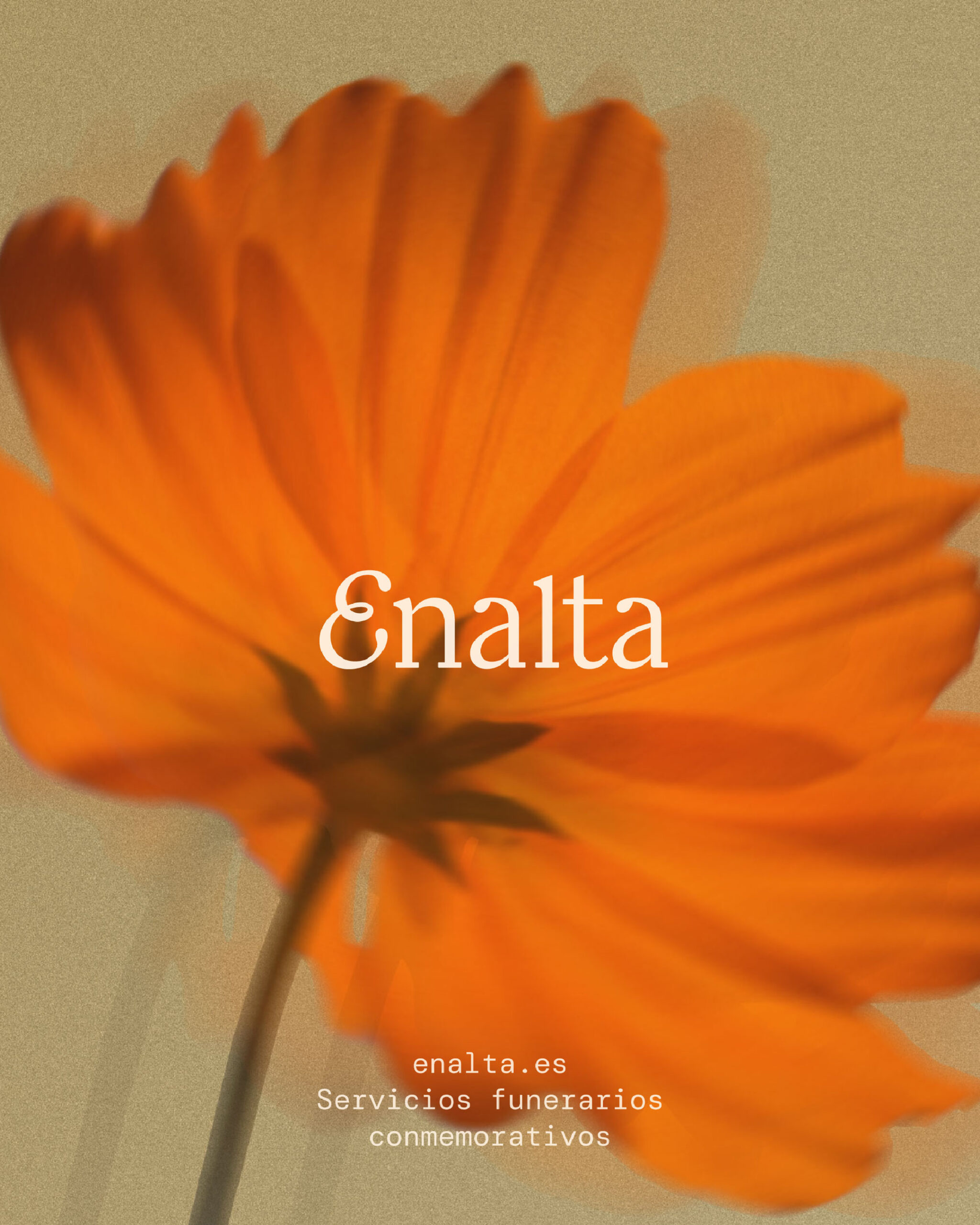 Enalta