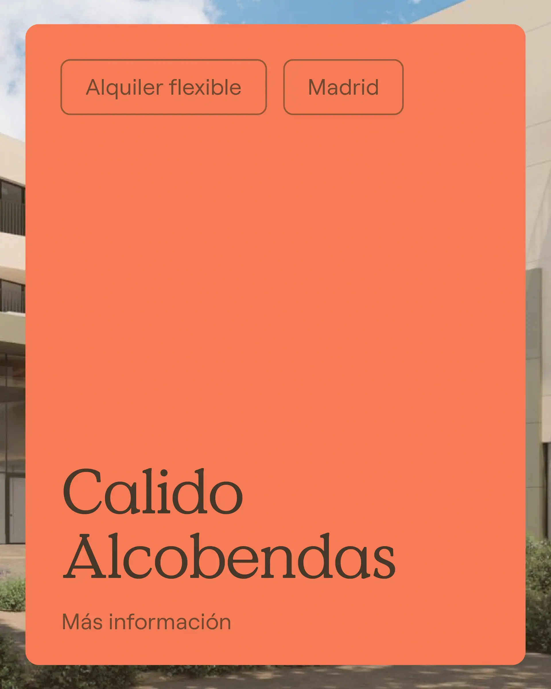 Calido_Caso_Cards-V1